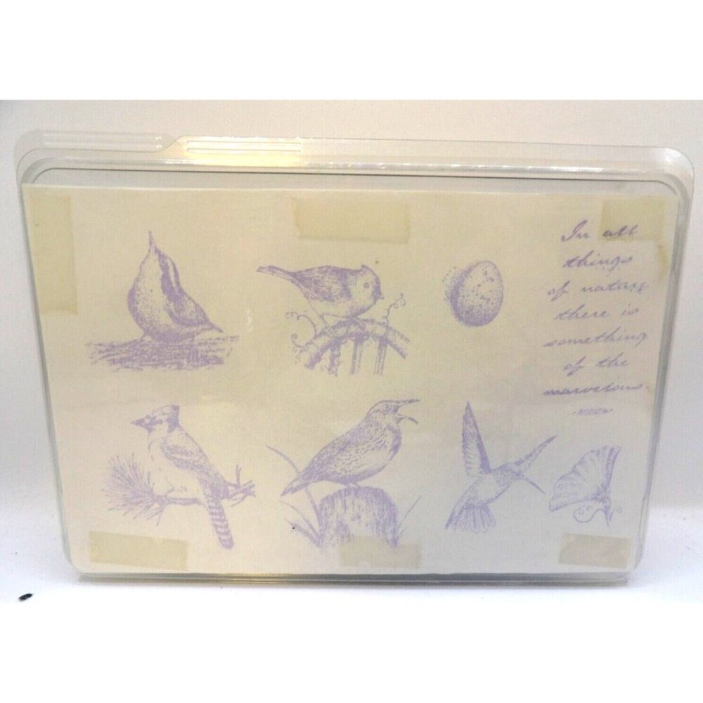 COPY - Birds Set of 7 Unmounted Stamps Unbranded #T907 Wren, Cardinal, Hummingb…